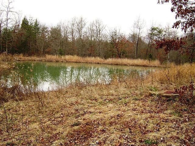 2nd image of 168 Huse Potter Rd