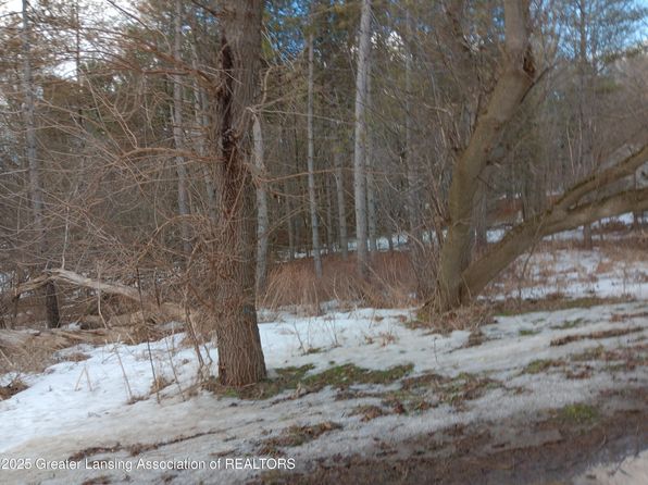 7228 W Beard Rd, Perry, MI 48872