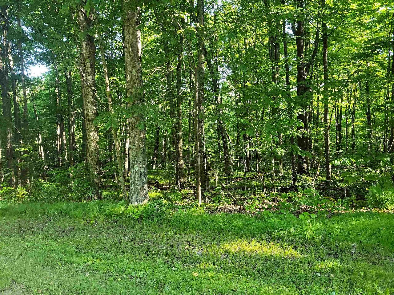 On KENTWOODS ROAD, Bryant, WI 54418 Zillow