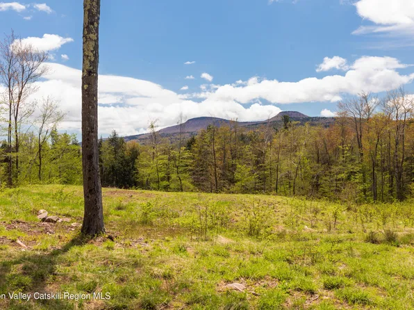 Tbd 2 Legg Road, Hunter, NY 12442