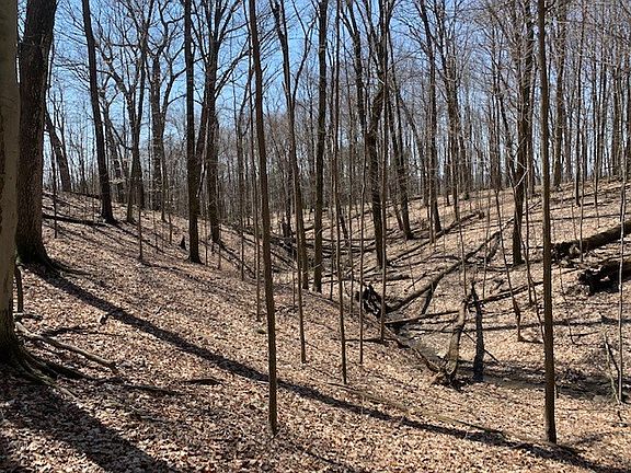 4th image of 696 County Road 1302