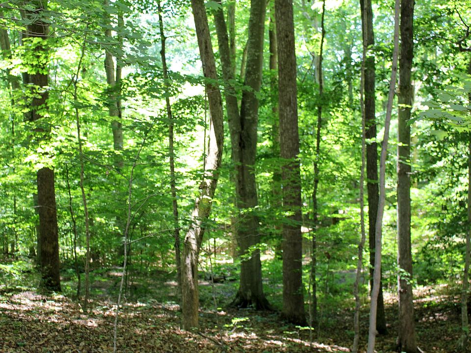 1st image of 0 October Ln Lot 71