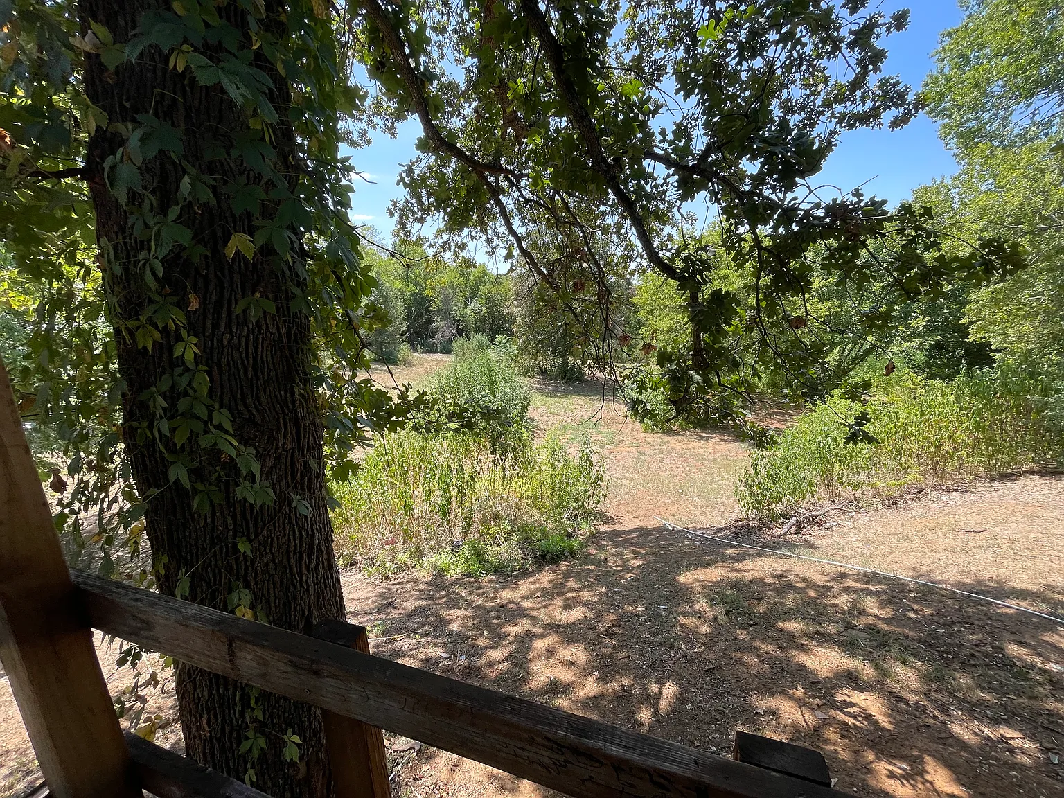 3 bed, 756 sqft, $1,000 — Photo 2
