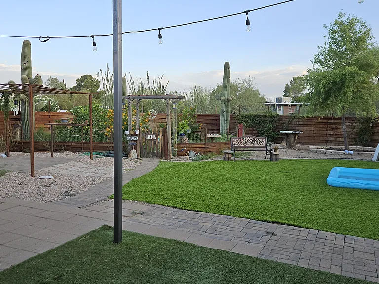 Backyard 1