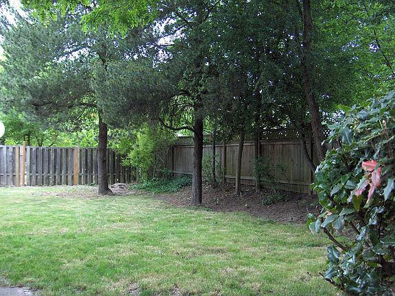 Fenced backyard