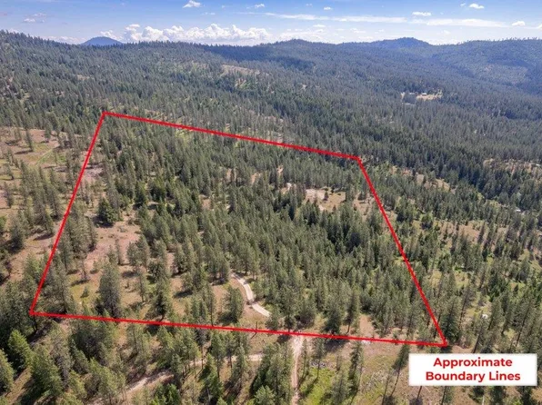 4589 Strange Way, Springdale, WA 99173