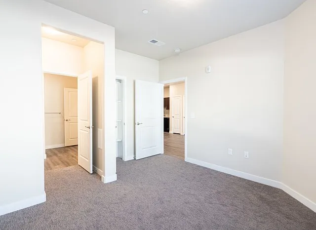 Bedrooms with Lush Carpet and Modern Lighting Bedrooms with Lush Carpet and Modern Lighting