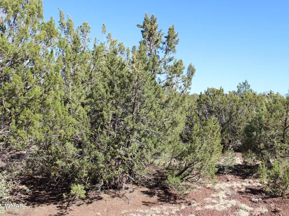 56 & 58 County Road 3193, Vernon, AZ 85940