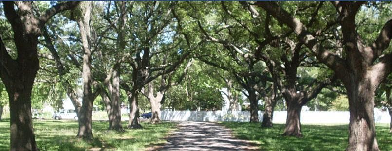 1st image of 14939 Cullen Blvd