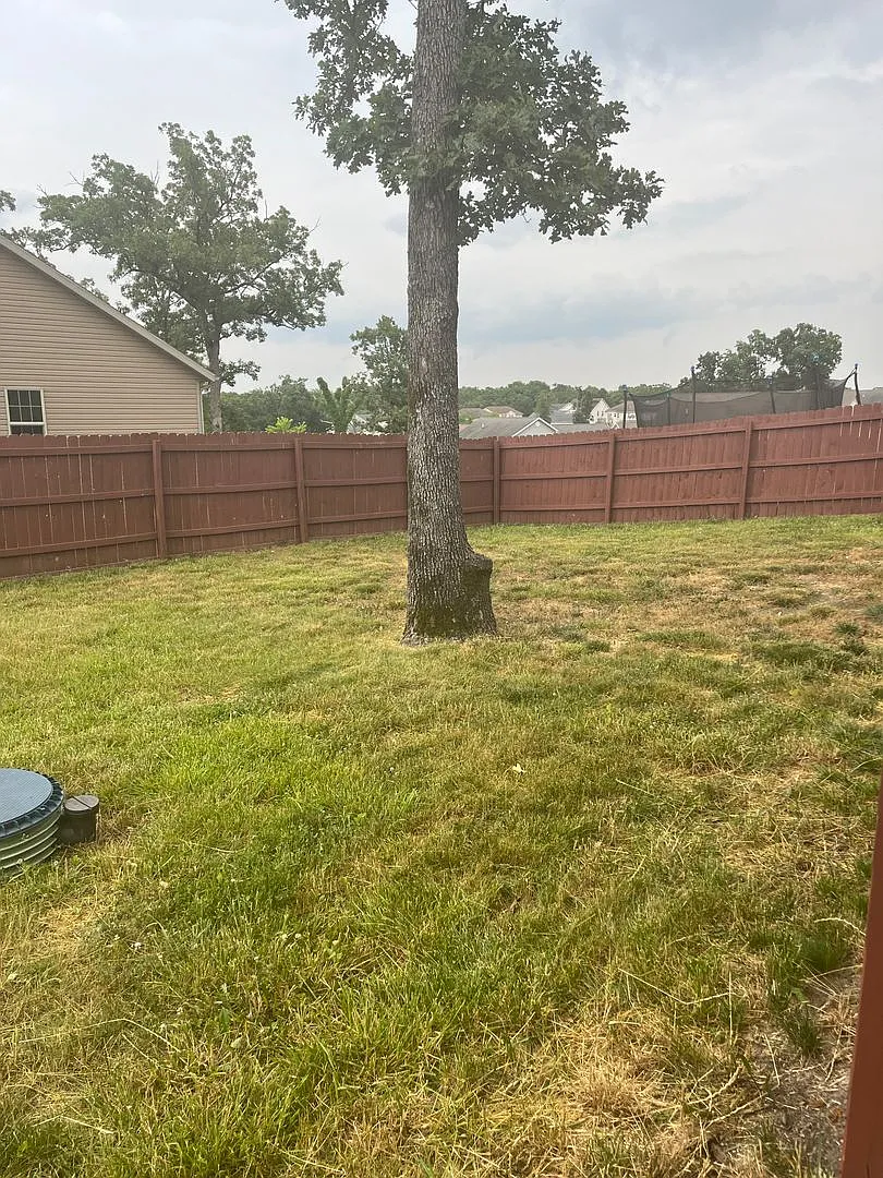 August 17th — Photo 4