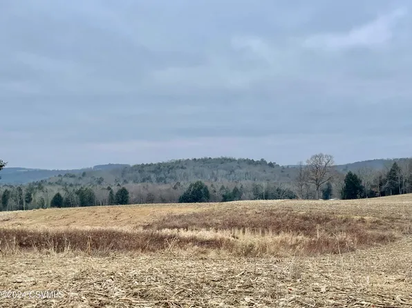 Bonnieville Rd, Stillwater, PA 17878