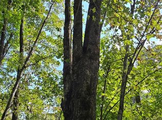 108 Tenderfoot Trl #108 & 109, Maggie Valley, NC 28751