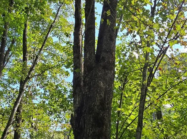 108 Tenderfoot Trl #108 & 109, Maggie Valley, NC 28751