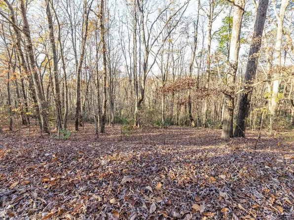 0 Vista Dr, Cleveland, GA 30528