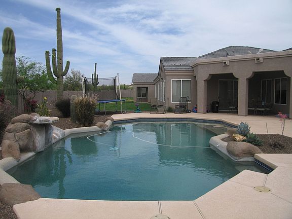 Backyard / Pool