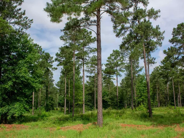 176 Overlook Dr #8, Eatonton, GA 31024