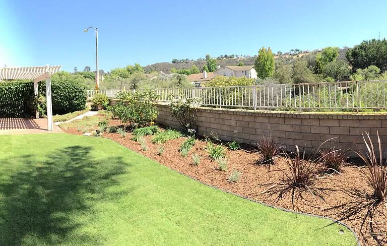 Backyard with a view