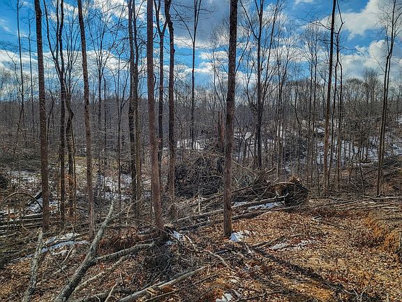 2nd image of 0 Hutchins Bend Rd Lot 1