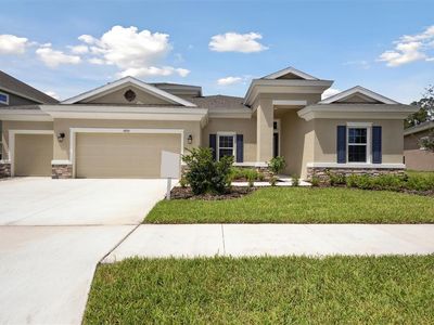6233 Hidden Branch Dr, Apollo Beach, FL, 33572
