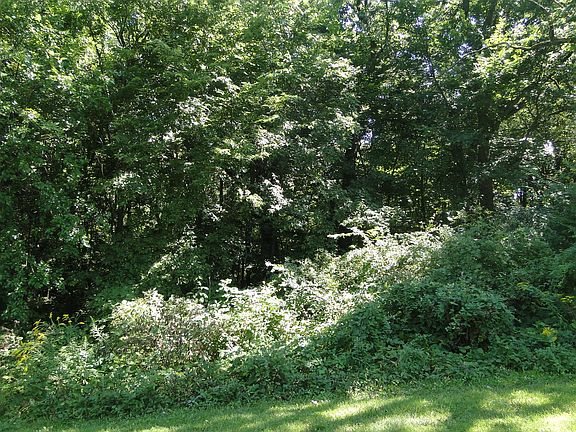 3rd image of 24859 W Lake Forrest Ln