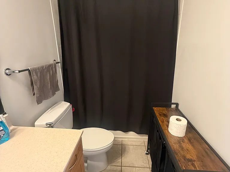 1250 S Michigan Ave #510 — Photo 8