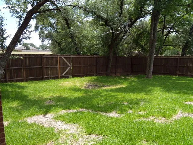 321 Canoe Dr — Photo 23