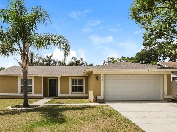 3039 Annadale Cir, Brandon, FL 33511