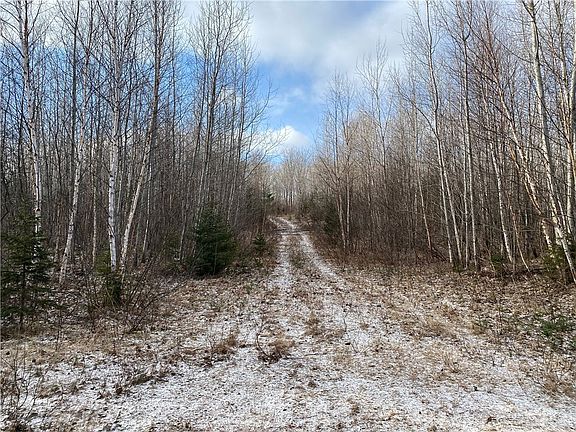 4th image of ON Bear Lake Road