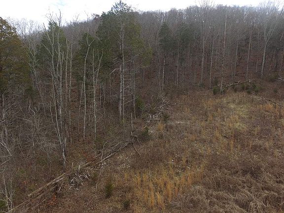 4th image of 111 Eagle Ln