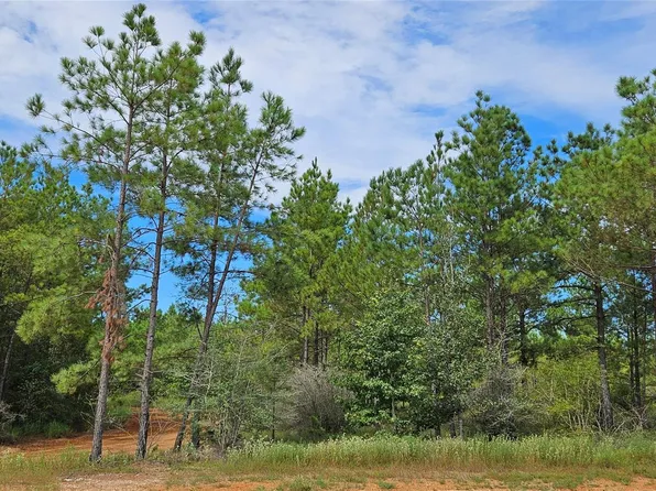 16029 Ridge Oak Rd Lot 16, Willis, TX 77378