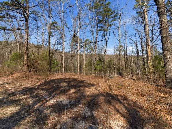 000 County Road 158, Gainesville, MO 65655