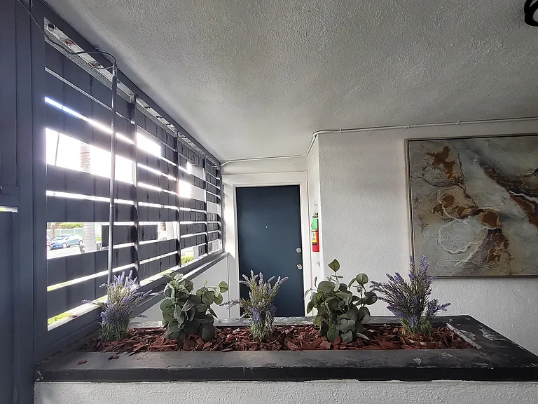 Kenmore — Photo 21