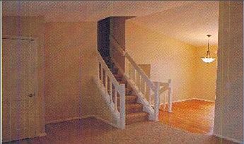 View from Front Room