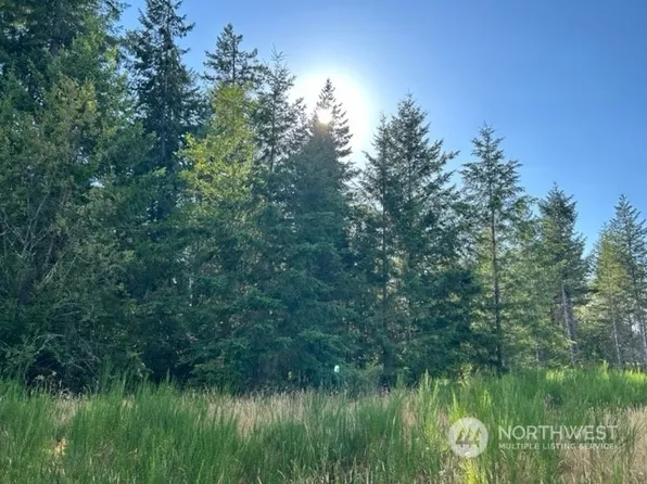 0 NW Clark Avenue, Winlock, WA 98596