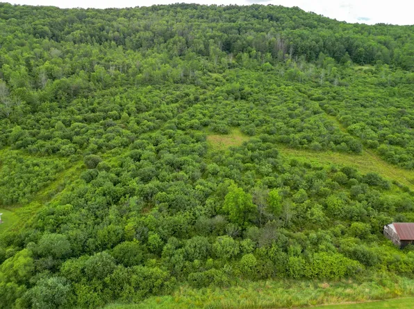 0 Andover Rd #2, Wellsville, NY 14895