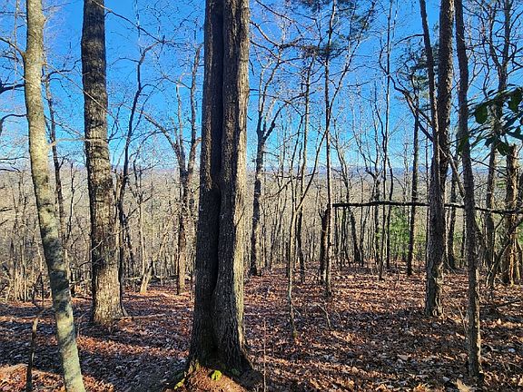 3rd image of LOT 8B Arrowhead Dr