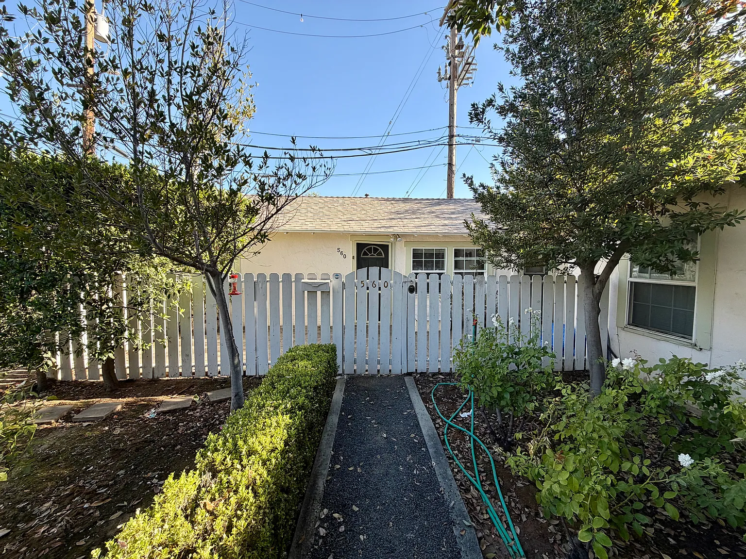 1 bed, 504 sqft, $1,175 — Photo 1