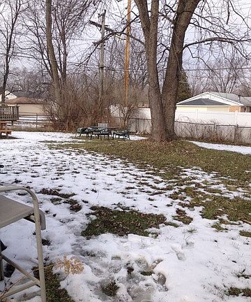 3rd image of 540 Hickok Ave