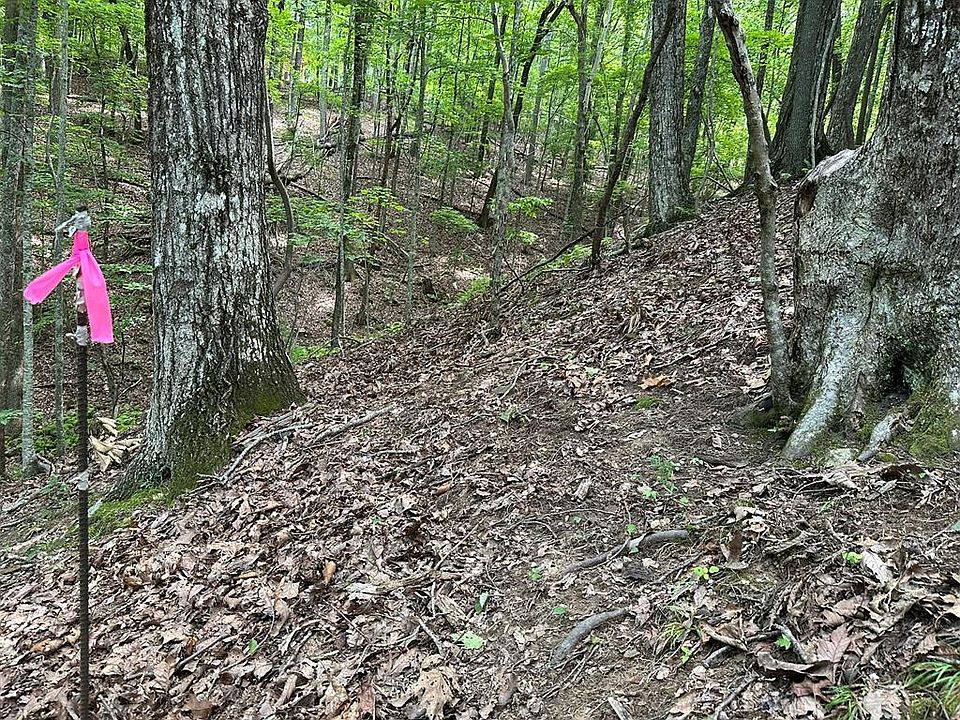 1st image of 13 Pickelsimer Mountain Ln