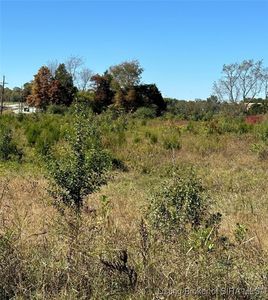 Tract 1 (10.095 +/- AC) Hwy 64 NW, Ramsey, IN, 47166