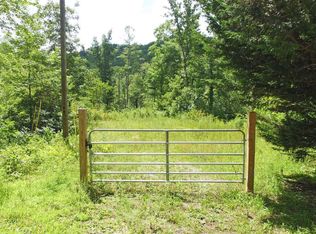 317 Bull Frog Ln, Clayton, GA 30525