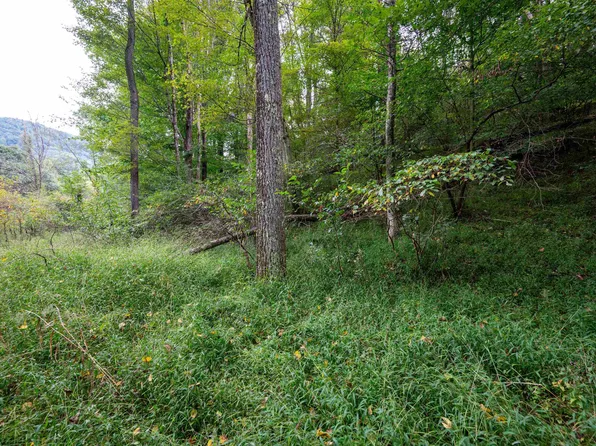LOT 1 Saltlick Rd, Rowlesburg, WV 26425