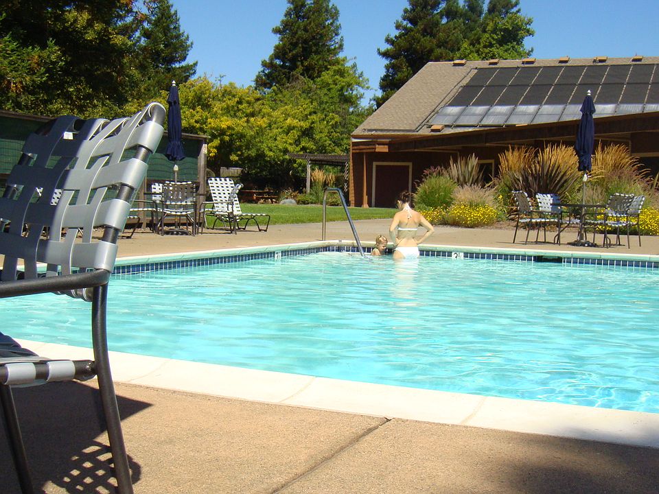 Olympic Size Pool