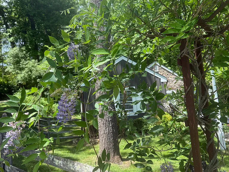 Creekside Dr — Photo 5
