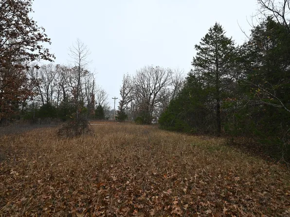 21010 Trailing Vine Ln, Lebanon, MO 65536