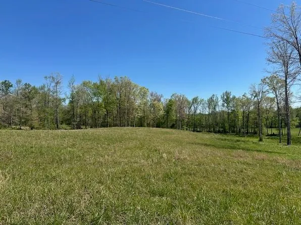 0 Pear Blossom Ln Lot 10, Adamsville, TN 38310