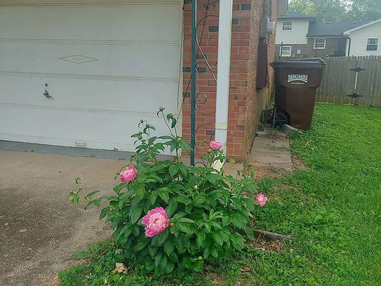2508 Rhett Ct — Photo 27