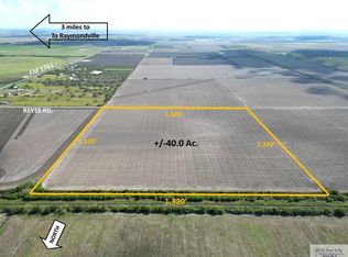 Reyes Rd, Raymondville, TX 78580