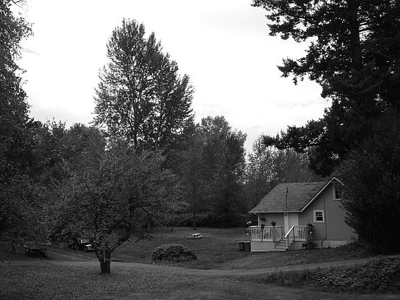 5th image of 14233 SE 272nd St
