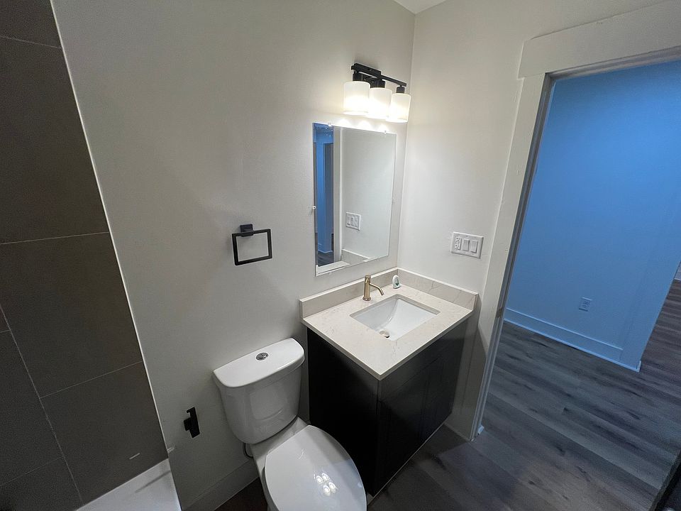 Vanity toilet